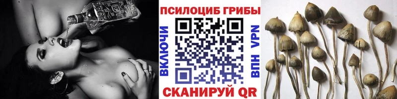 Галлюциногенные грибы Magic Shrooms  Ярцево 