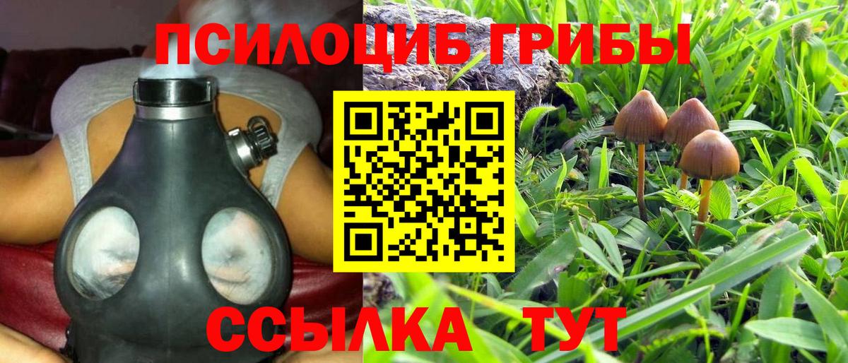 Ярцево  Галлюциногенные грибы MAGIC MUSHROOMS  купить  сайты  Вход с VPN 