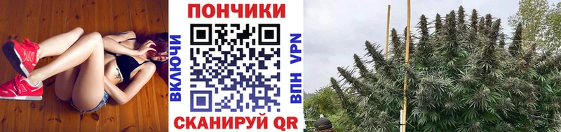 гидра онион магазин наркотиков Ярцево Марихуана семена